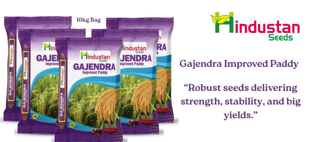 www.hindustanseeds.com (6)