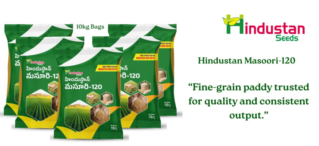www.hindustanseeds.com (9)