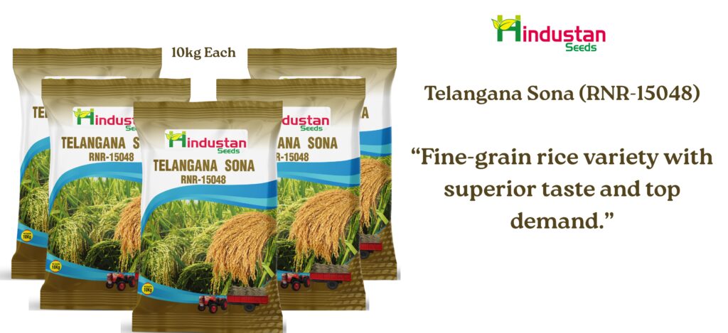 www.hindustanseeds.com